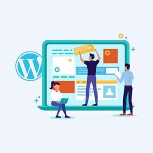 wordpress explanations